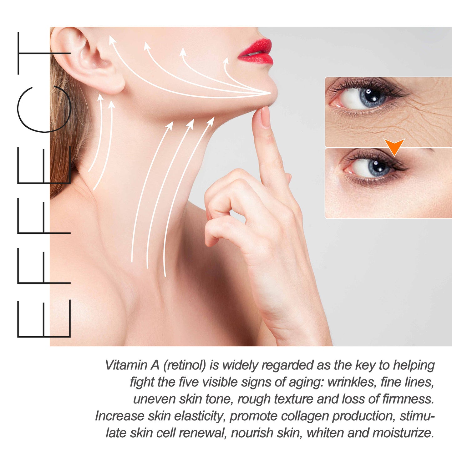 Lightening Fine Lines Dark Circles Moisturizing Nourishing Anti-Aging Face Cream